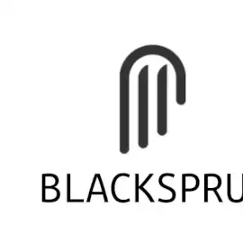 тор blacksprut